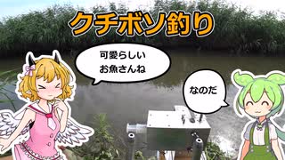 第19回　用水路で小物釣りクチボソ釣り編【ずんだもん実況】【小物釣り】【自作ニードルシステム】【クチボソ】【VOICEROIDフィッシング】