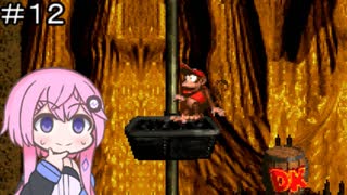 【CeVIO実況】フィーちゃん的スーパードンキーコング＃１２【ボイスロイド実況】