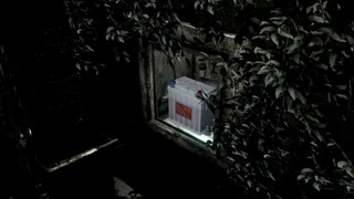【初見実況】　バイオハザード　クリス編　その３４