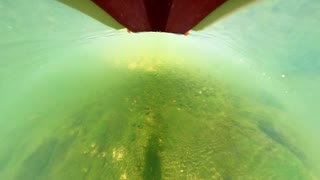 ラジコン船用360度カメラ搭載ユニット「コバンザメ」で水中の世界を眺める