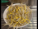 もやし　炒め　ニンニク　塩コショウ　サラダ油　料理