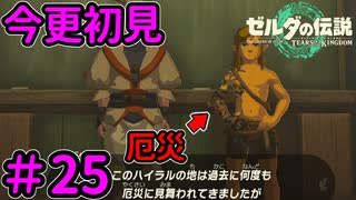 その厄災ってのは、オレの事じゃないよな？【ゼルダの伝説 ティアーズ オブ ザ キングダム】Part25