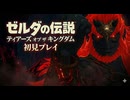 #223【ゼルダの伝説 ティアーズ オブ ザ キングダム】魔王ガノンドロフとの死闘！