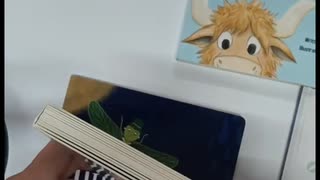 children book (2)