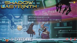 【SHADOW LABYRINTH】第14回　探索回（テーベーと決着をつけろ）　じっくり攻略実況　シャドウラビリンス