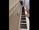 【弾いてみた】孤高の浮雲【雲雀恭弥】
