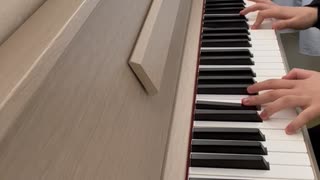 【弾いてみた】孤高の浮雲【雲雀恭弥】