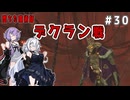 （ENDER MAGNOLIA）堕ちた魔術師　デクラン戦　 part30