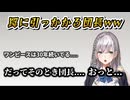 罠に引っかかる団長www【ホロライブ/白銀ノエル】