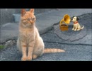 猫と蓄音機と犬