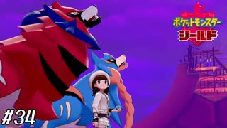 2頭の英雄【ポケモン盾実況#34】