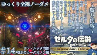 『9種の縛りプレイ＃14』ノーダメージで英傑ミファーを開放する全裸リンク【ゼルダの伝説ブレスオブザワイルドswitch２エディション/ゆっくり実況】