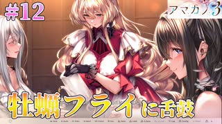【牡蠣フライ】アマカノ3 体験版 実況 第12回【PC実況】