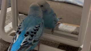 そらの得意技⁉️クルリンパ