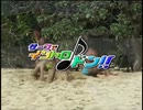 サーフでイントロドン!!