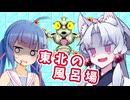 ウナとイタコの東北家ハエたたき【マリオペイント】