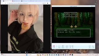 【SFC版ドラクエ6】誰もやらない転職ルートで実況プレイ#17　～テリーのワンダーランド編その1～
