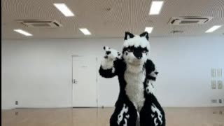 【ヒロインとアイドル】をきぐるみで踊ってみた
