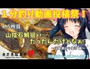 ４.５枚目『山陰石鯛狙い…だったんだけどなぁ』～没動画からの復活 編～