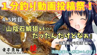 ４.５枚目『山陰石鯛狙い…だったんだけどなぁ』～没動画からの復活 編～