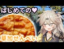 【VOICEVOX4周年文化祭】はじめての草加せんべいを作ろう