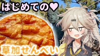 【VOICEVOX4周年文化祭】はじめての草加せんべいを作ろう