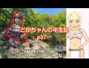 「どかちゃんの半生記」第5章・第6章朗読してみた【岡山の県北系VTuber】