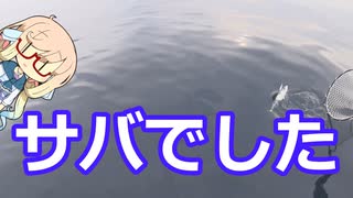 桜乃そらの「Angler Report」 Part3