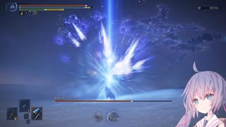 【ELDEN RING NIGHTREIGN】強化マリス、レディソロ