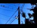 従属ふりったー - Koyori (電ポルP) | 歌ってみた