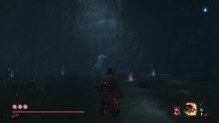 首なし獅子猿　ノーダメージ　SEKIRO/隻狼/苦難厄憑