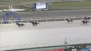 2025年7月31日門別競馬7R ＪＲＡ認定ウィナーズチャレンジ３ マロンソレイユ