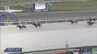2025年7月31日門別競馬7R ＪＲＡ認定ウィナーズチャレンジ３ レース回顧