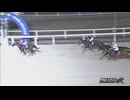 第2回ポラリスサマースプリント（シャンハイボビー賞） デステージョ