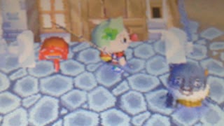 どうぶつのもり　ホンマさん(DQNチーターをあおってみた）