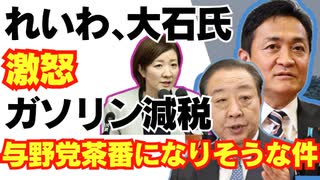 【悲報】ガソリン減税、与野党茶番になりそうな件。れいわ大石あきこ氏激怒/自民党/財務省/れいわ新選組/国民民主/玉木雄一郎/消費税/参政党
