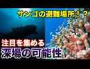 気候変動からサンゴを守れるのか？深場に眠る“避難所”の可能性【メソファティック】