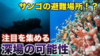気候変動からサンゴを守れるのか？深場に眠る“避難所”の可能性【メソファティック】