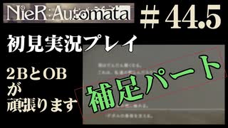 【NieR：Automata】2BとOBが頑張ります。【その44.5です】
