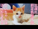 前足負傷子猫、リハビリおじいちゃんを支える