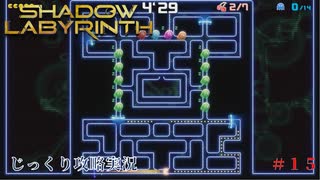 【SHADOW LABYRINTH】第15回　２つの高エネルギー体を確保しろ　じっくり攻略実況　シャドウラビリンス