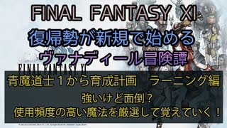 【FF11】青魔道士１から育成計画　ラーニング編　強いけど面倒？使用頻度の高い魔法を厳選して覚えていく！