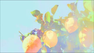Lemon　歌ってみた　【GauDy】