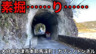 素掘り、間に合わず編。【バーチャルいいゲーマー佳作選】