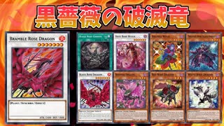 【遊戯王ADS】黒薔薇の破滅竜