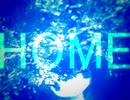 HOME / 知声
