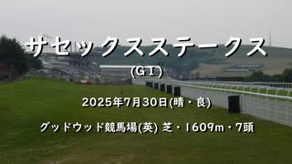 【ウマ娘風】第176回GⅠサセックスステークス(グッドウッド・2025)