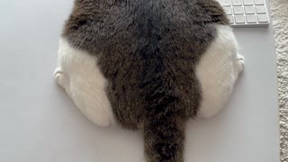 変なかっこう