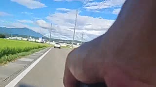 【フグちゃん】2025年8月1日、車を追いかける【暴言】