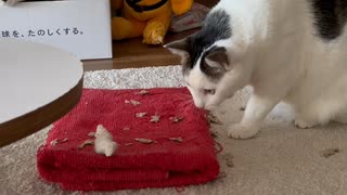 ひとりあそび